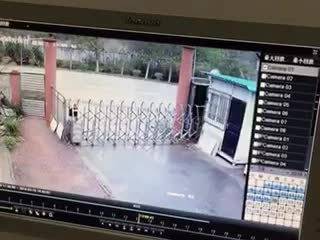 瓜图